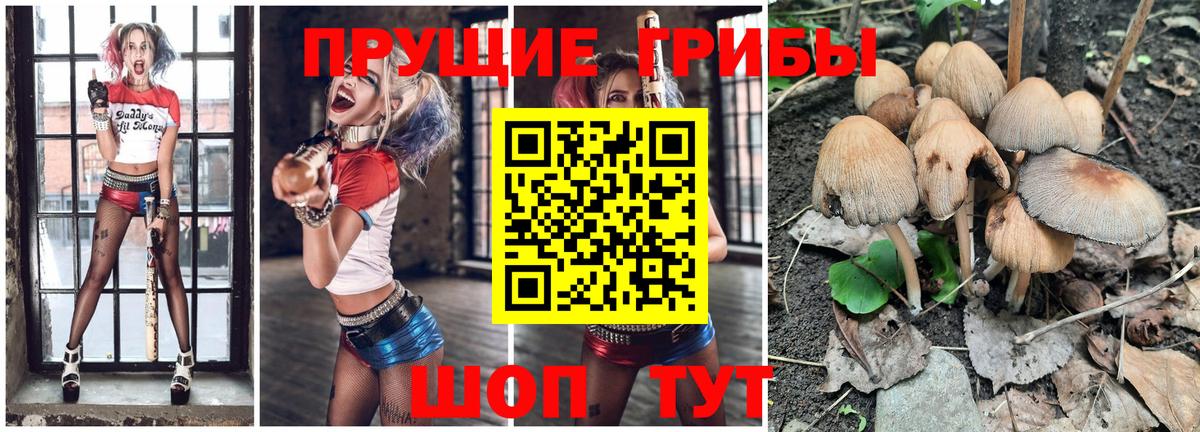 Горно-Алтайск  Вход с VPN  Альфа ПВП СК   МЕФ кристаллы  Марихуана  Экстази  КОКАИН  ГАШ 