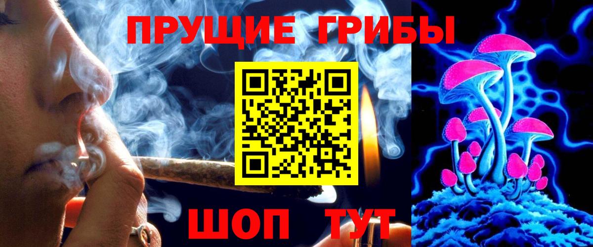 Галлюциногенные грибы Cubensis Горно-Алтайск
