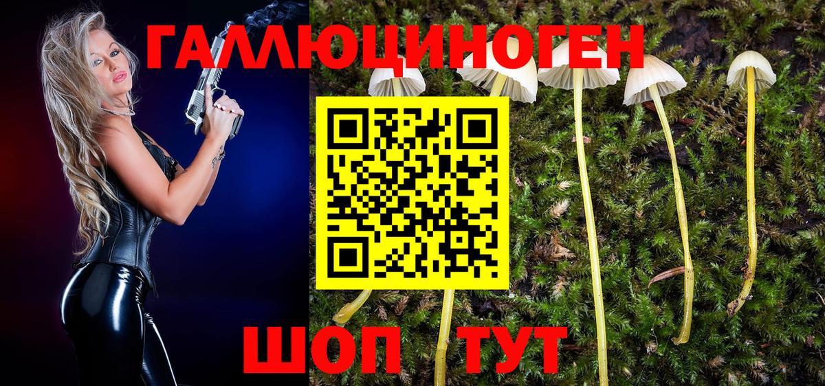 Галлюциногенные грибы мицелий  Горно-Алтайск 